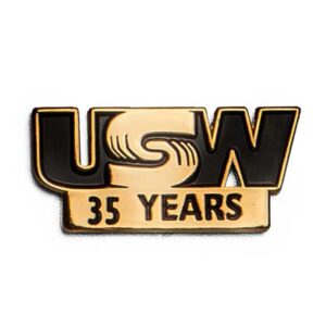 Pin - 35 Years